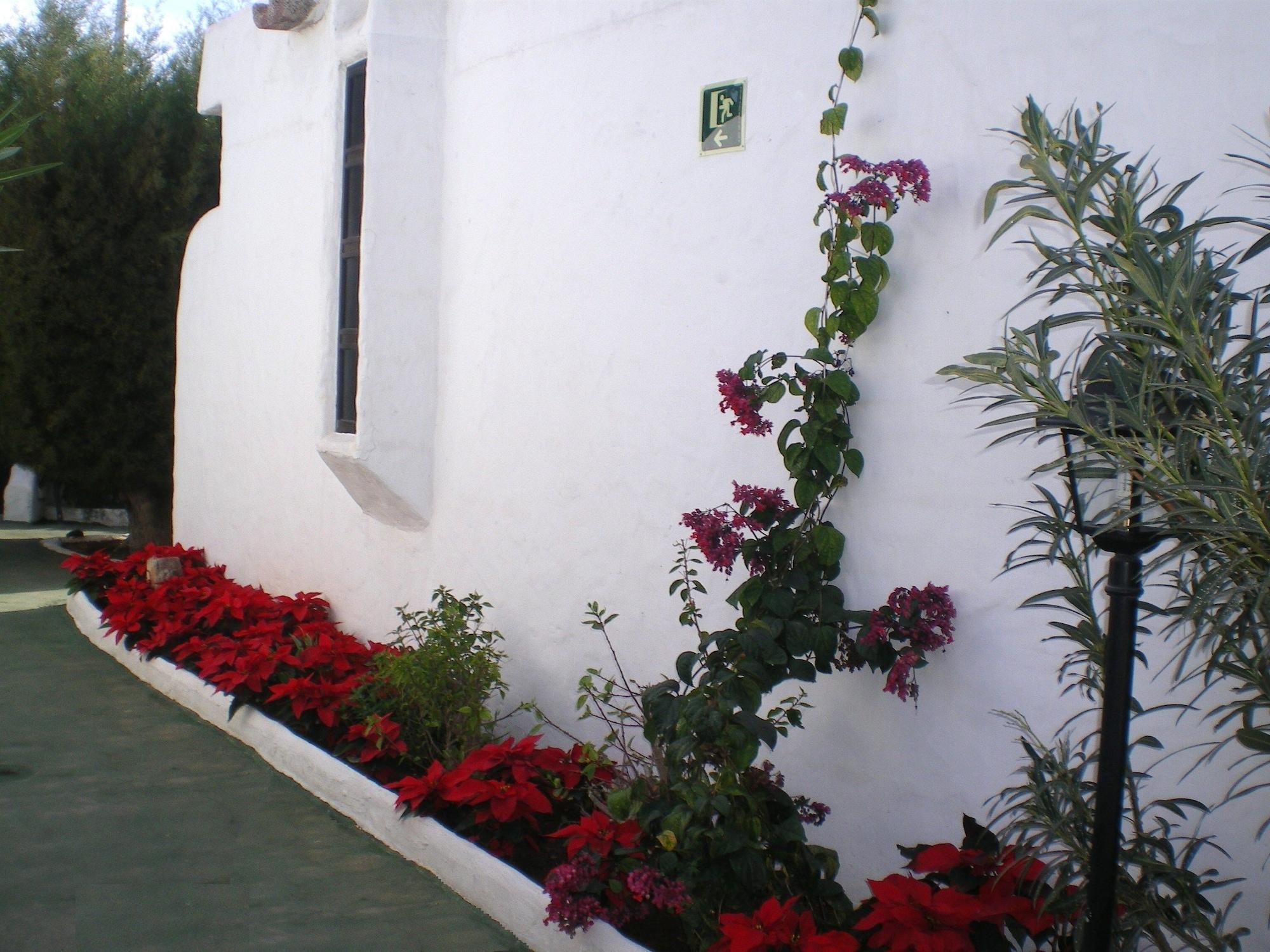Bungalows Tenesoya Gay Men Only Playa del Inglés Exterior foto