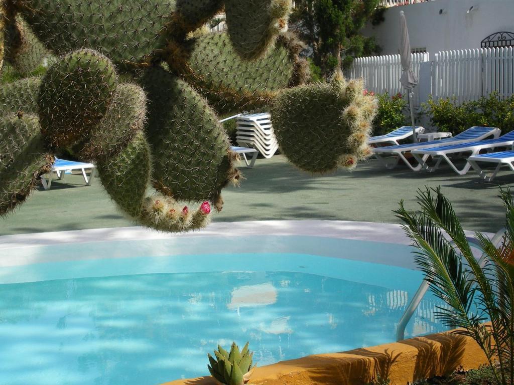Bungalows Tenesoya Gay Men Only Playa del Inglés Exterior foto