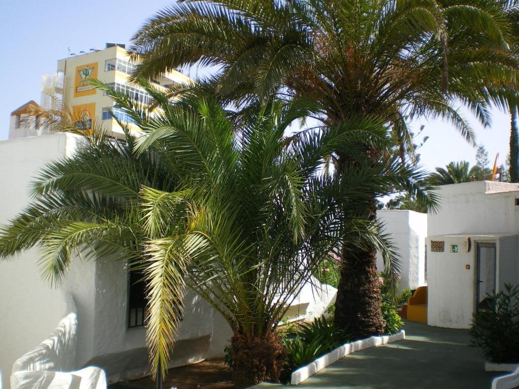 Bungalows Tenesoya Gay Men Only Playa del Inglés Exterior foto